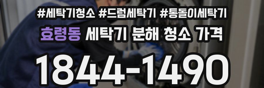 효령동 세탁기 분해 청소 가격