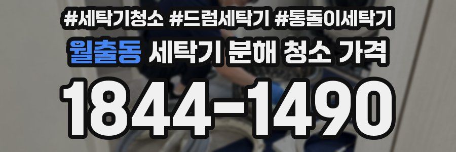 월출동 세탁기 분해 청소 가격
