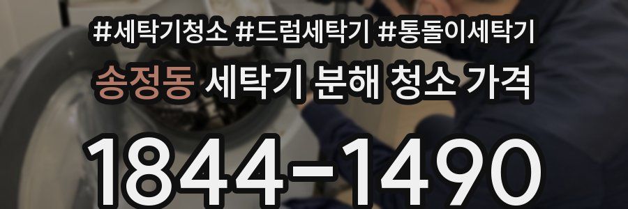송정동 세탁기 분해 청소 가격