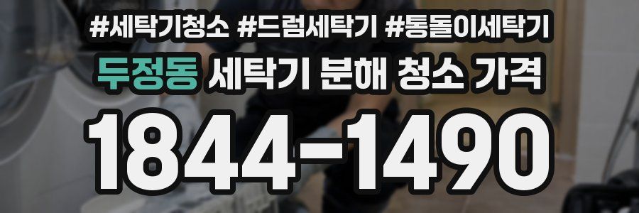 두정동 세탁기 분해 청소 가격