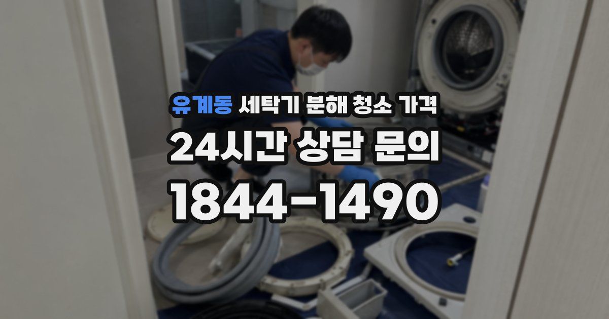 유계동 세탁기 분해 청소 가격