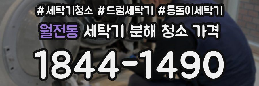 월전동 세탁기 분해 청소 가격