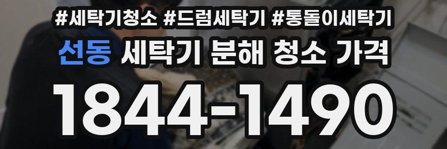 선동 세탁기 분해 청소 가격