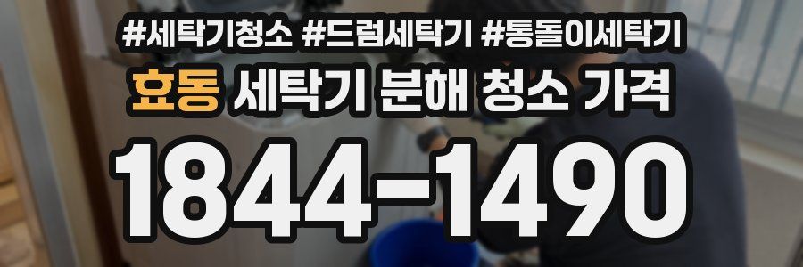 효동 세탁기 분해 청소 가격