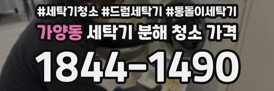 가양동 세탁기 분해 청소 가격