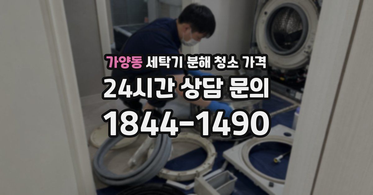 가양동 세탁기 분해 청소 가격