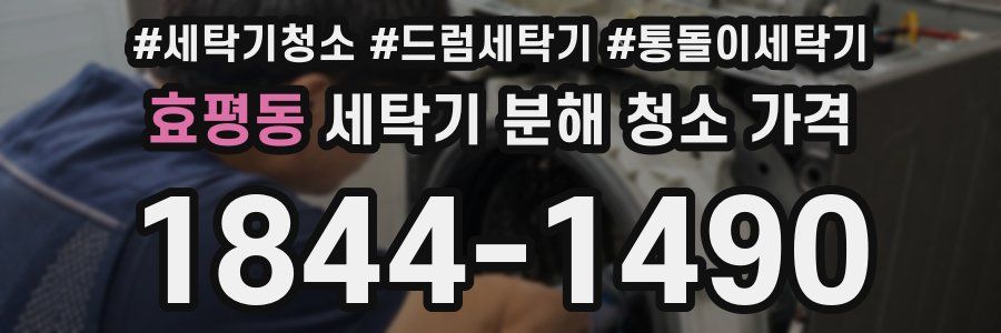 효평동 세탁기 분해 청소 가격