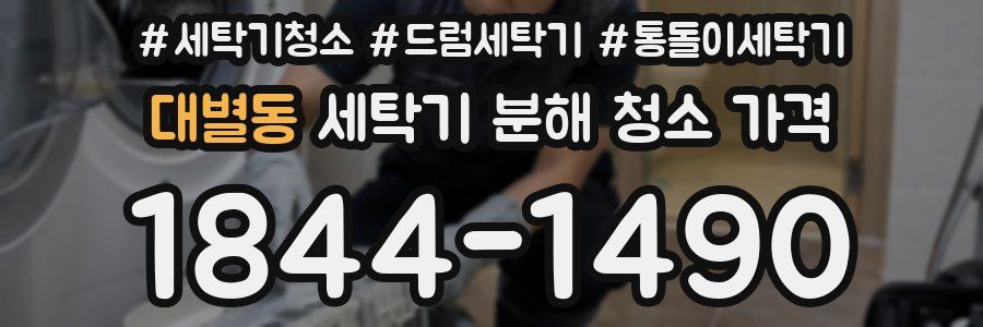 대별동 세탁기 분해 청소 가격