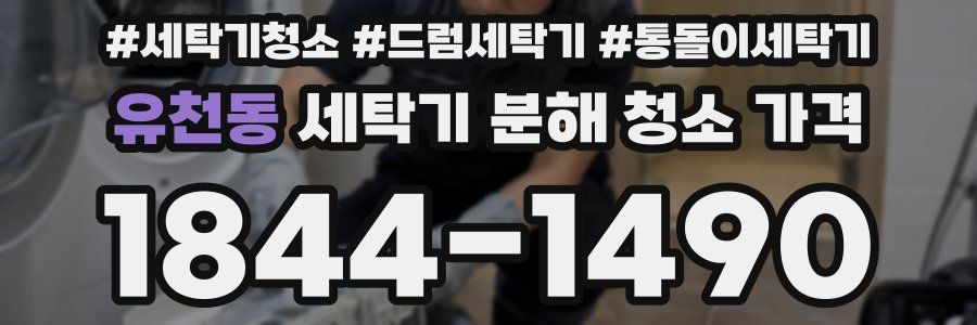 유천동 세탁기 분해 청소 가격