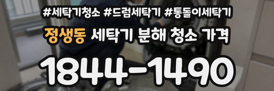 정생동 세탁기 분해 청소 가격
