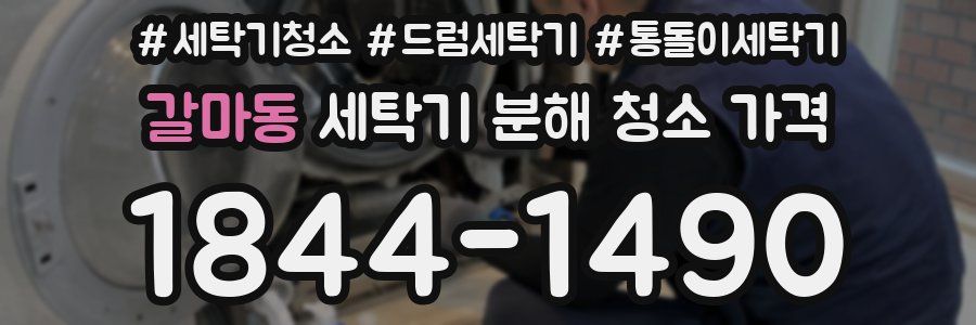 갈마동 세탁기 분해 청소 가격