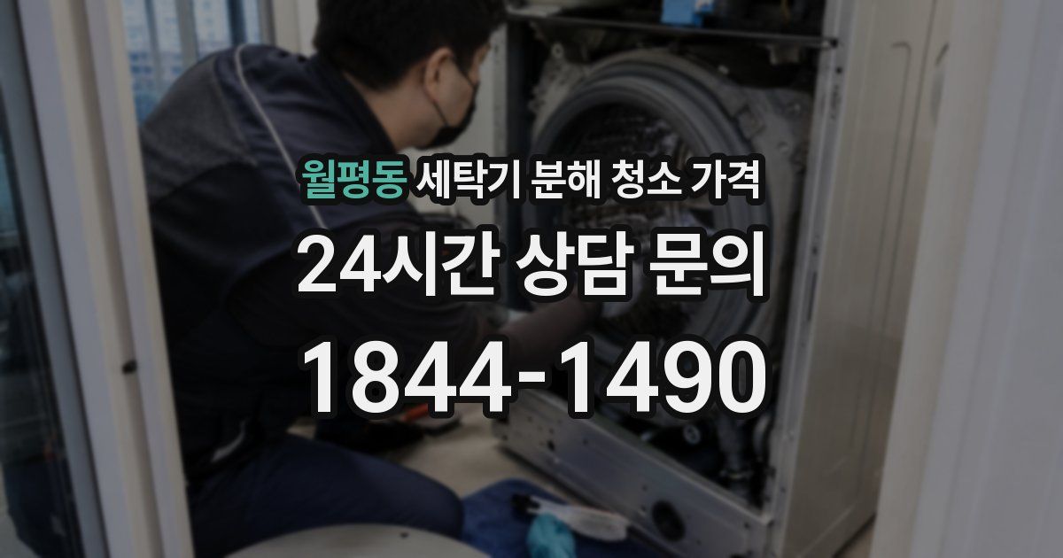 월평동 세탁기 분해 청소 가격