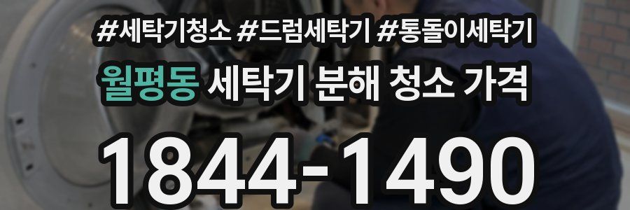 월평동 세탁기 분해 청소 가격