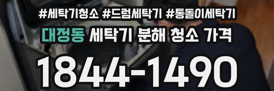 대정동 세탁기 분해 청소 가격