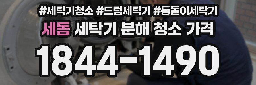세동 세탁기 분해 청소 가격
