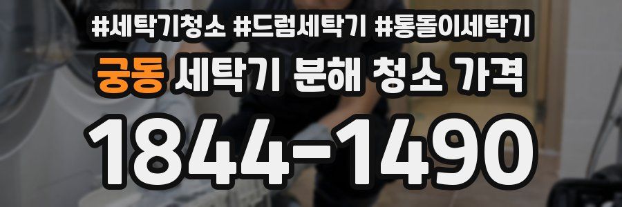 궁동 세탁기 분해 청소 가격