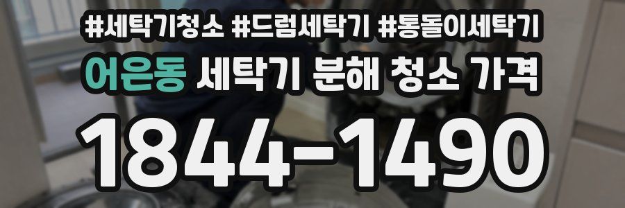 어은동 세탁기 분해 청소 가격