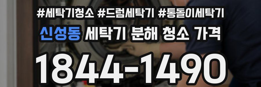신성동 세탁기 분해 청소 가격