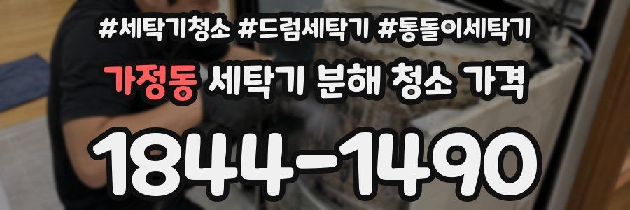 가정동 세탁기 분해 청소 가격