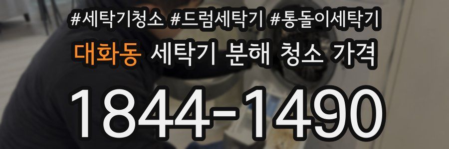 대화동 세탁기 분해 청소 가격