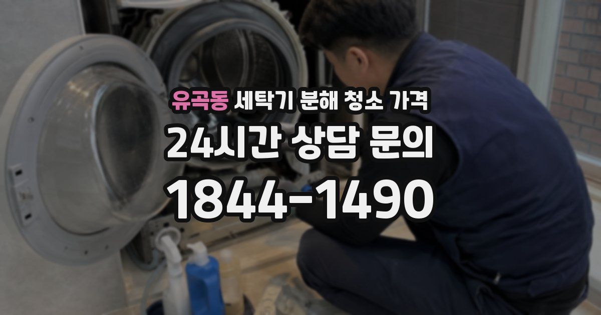 유곡동 세탁기 분해 청소 가격