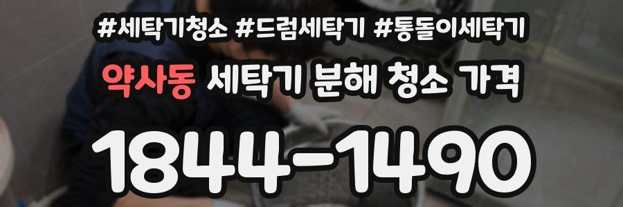 약사동 세탁기 분해 청소 가격