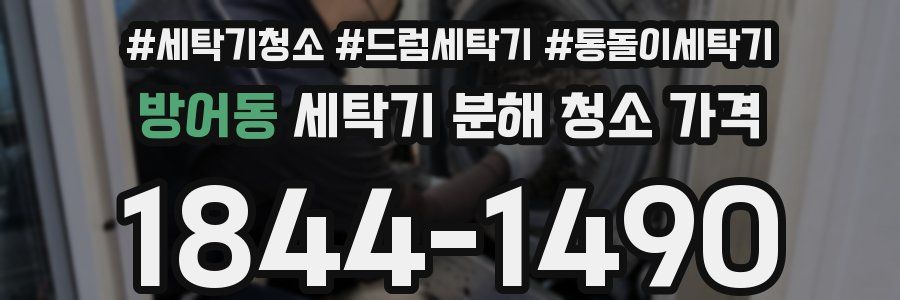 방어동 세탁기 분해 청소 가격