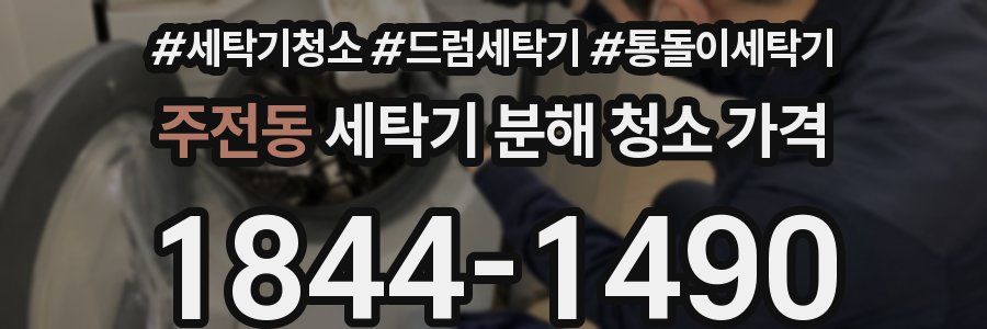 주전동 세탁기 분해 청소 가격