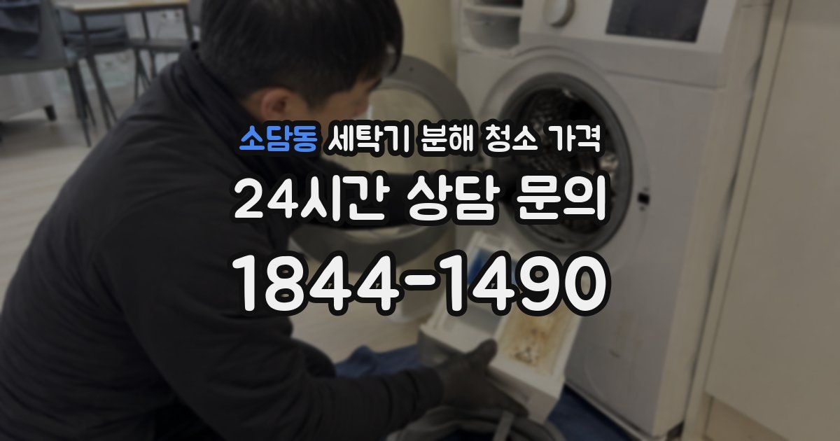 소담동 세탁기 분해 청소 가격