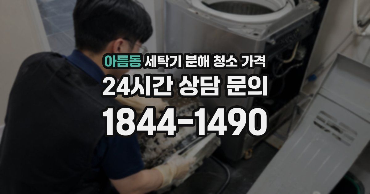 아름동 세탁기 분해 청소 가격