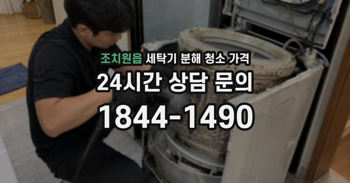 조치원읍 세탁기 분해 청소 가격