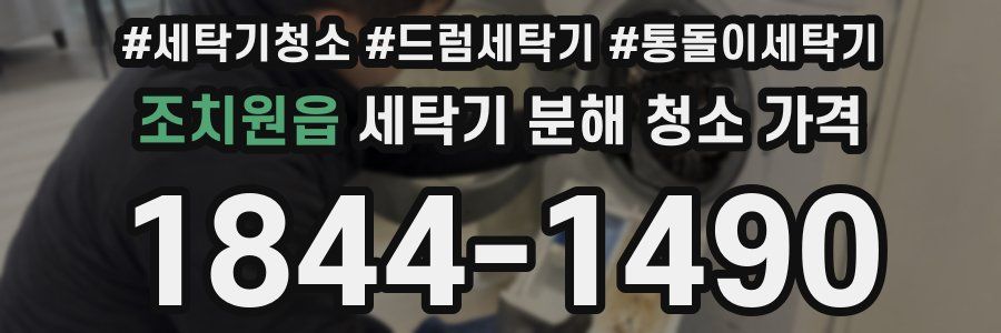 조치원읍 세탁기 분해 청소 가격