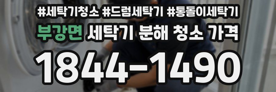 부강면 세탁기 분해 청소 가격