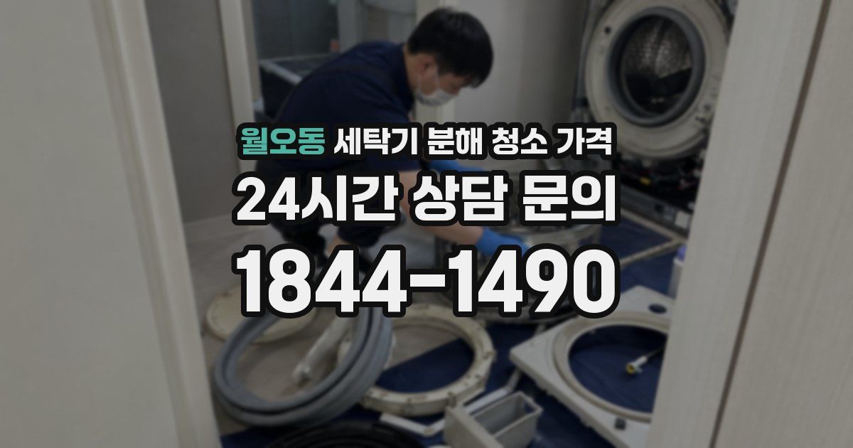 월오동 세탁기 분해 청소 가격