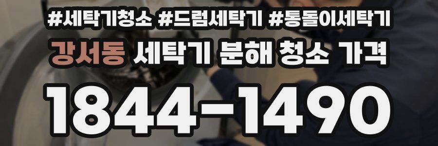 강서동 세탁기 분해 청소 가격