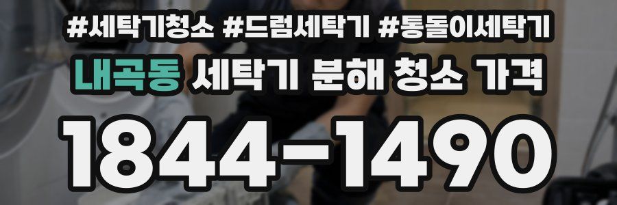 내곡동 세탁기 분해 청소 가격