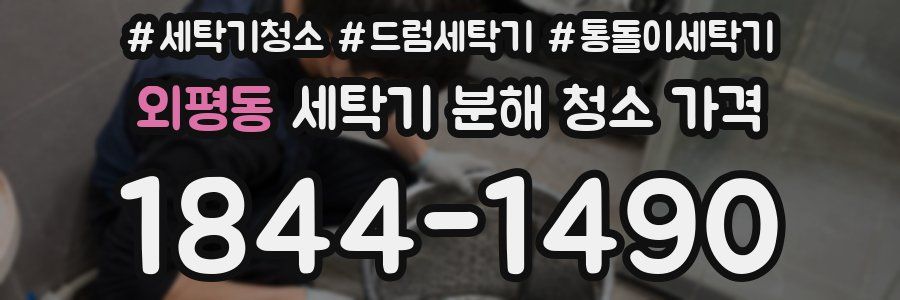 외평동 세탁기 분해 청소 가격