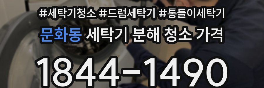 문화동 세탁기 분해 청소 가격