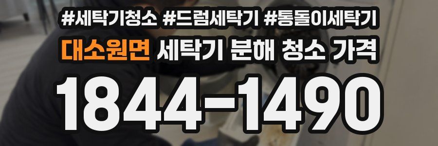 대소원면 세탁기 분해 청소 가격