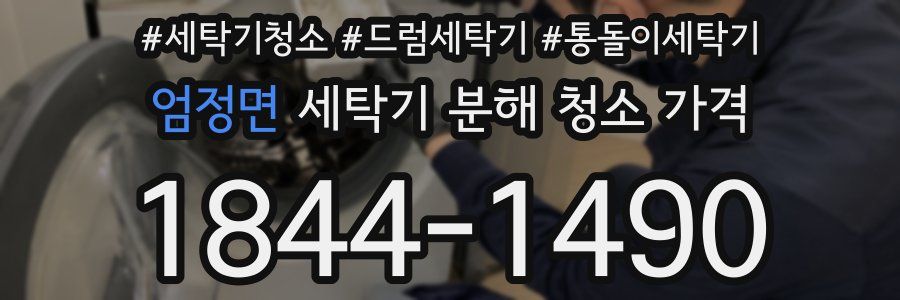 엄정면 세탁기 분해 청소 가격