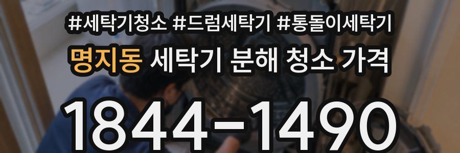 명지동 세탁기 분해 청소 가격