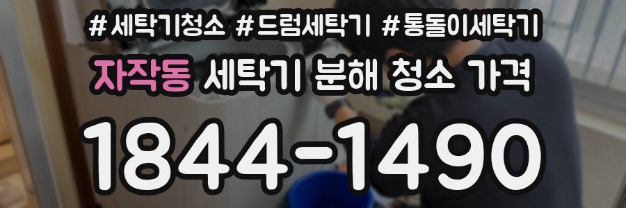 자작동 세탁기 분해 청소 가격
