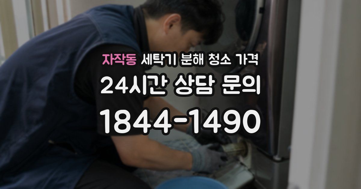 자작동 세탁기 분해 청소 가격