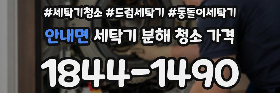 안내면 세탁기 분해 청소 가격