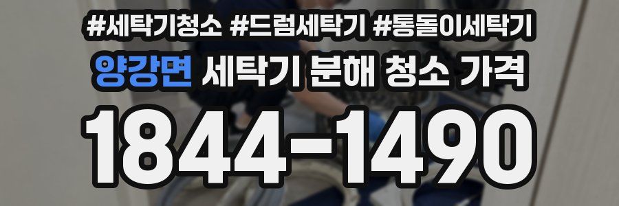 양강면 세탁기 분해 청소 가격