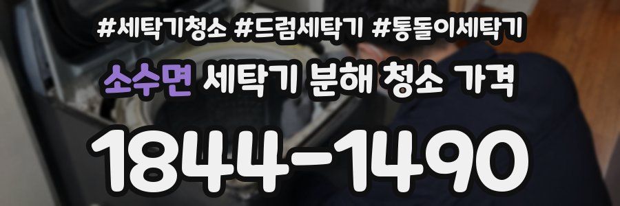 소수면 세탁기 분해 청소 가격