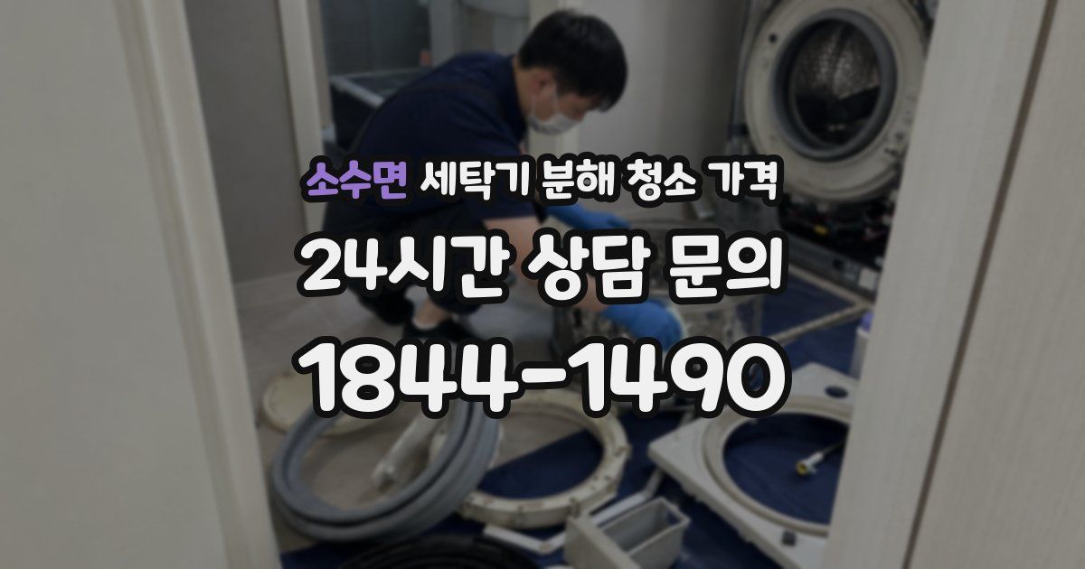 소수면 세탁기 분해 청소 가격