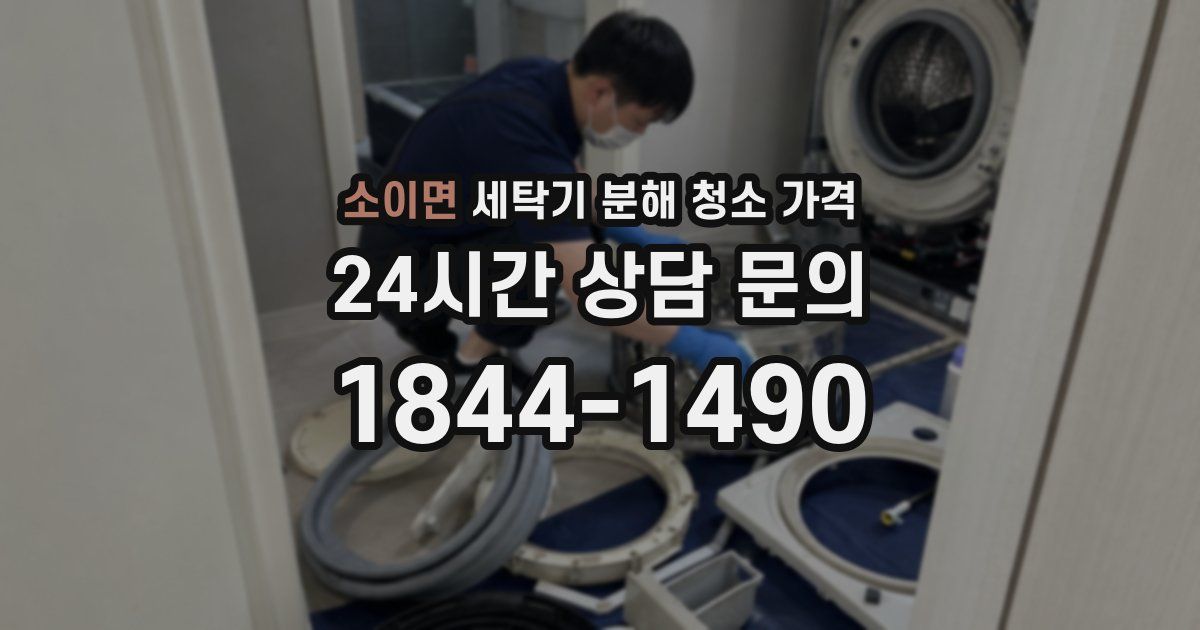 소이면 세탁기 분해 청소 가격