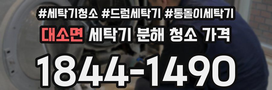 대소면 세탁기 분해 청소 가격