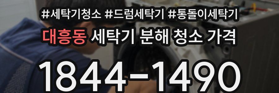 대흥동 세탁기 분해 청소 가격
